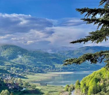 Mavrovo Hotel | LAKEVIEW Hotel & Apartments