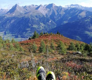Matrei in Osttirol Hotel | Landgasthof Steiner