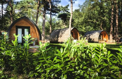 Diever Resort | Landgoed 't Wildryck