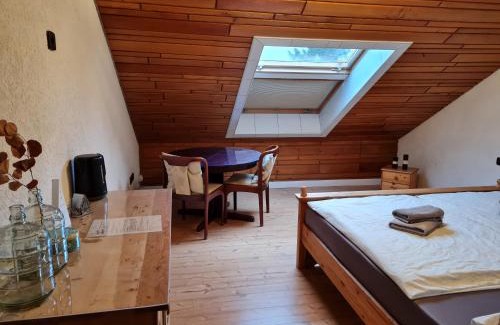 Gaggenau House | Landhaus Bad Rotenfels - Zion