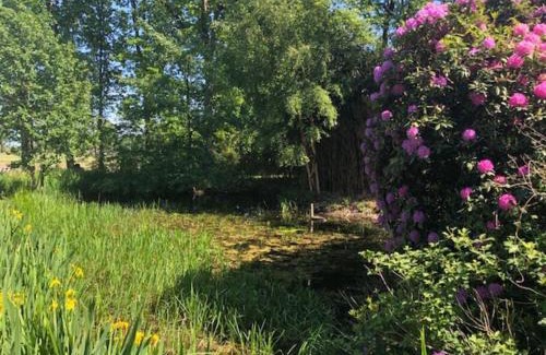 Municipality of Bergen Villa | Landhuis het Woud. max. 11 pers. with private pool