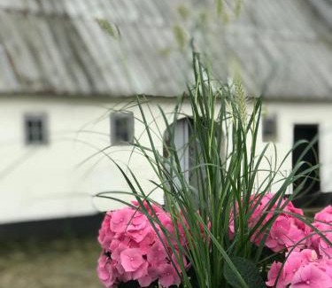 Genner Apartment | Landligt ophold på Midtgård