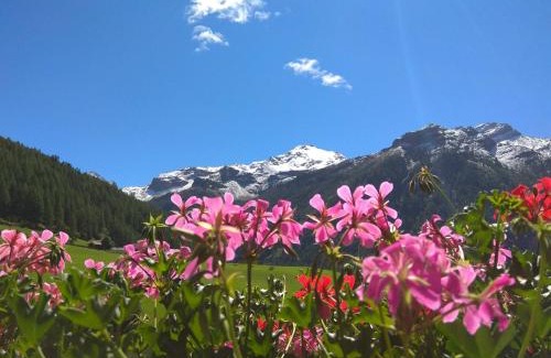 Riva di Tures Apartment | Lanerhof