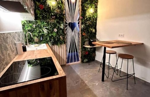 Quartier Administrations Apartment | Larène des Plaisirs