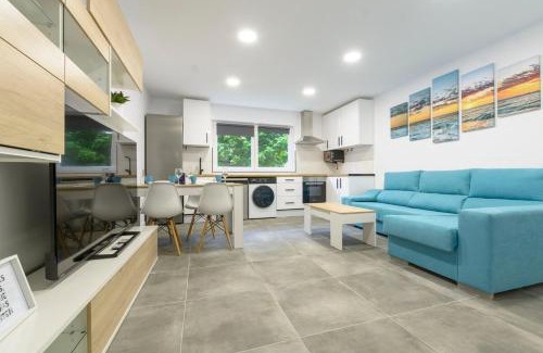 Laredo Apartment | Laredo Suite 2