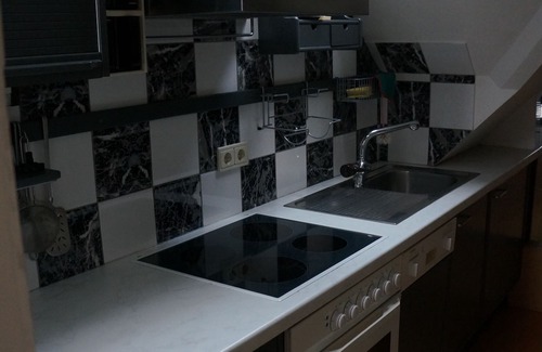 Orth an der Donau Apartment | Large attic apartment near the Danube wetlands