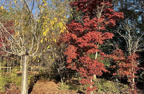 Hollins House | Large family retreat/Game day Home/ 9000sq Ft.