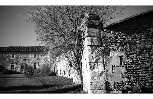 Cheneche House | Large gite - pool - quiet. weekly WE rental - near FUTUROSCOPE