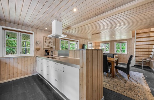 Skjern House | Large holiday home with large outdoor wilderness bath and activity room, only.