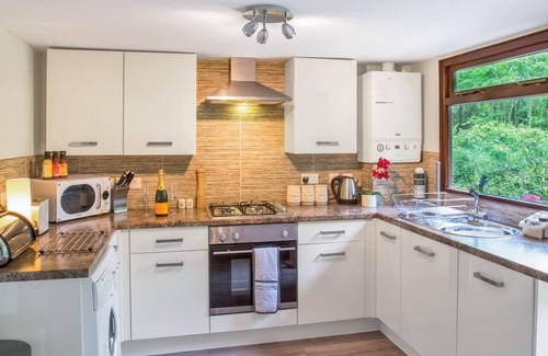 Caerwys Ski Chalet | Large modern studio lodge with one double.