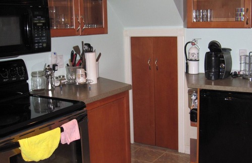 East Credit House | Large Open Basement Room with bathroom and Vegetarian kitchen