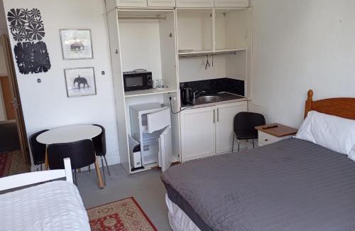 Sketty House | Large room near Singleton Hospital ensuite R6