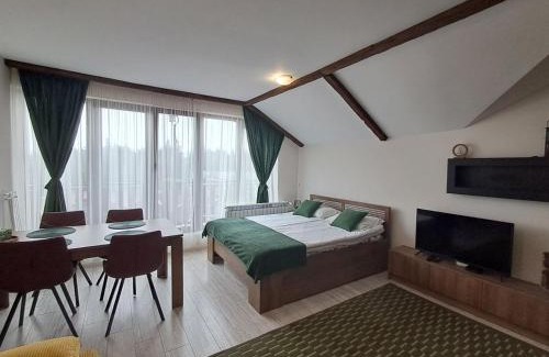 Borovets Apartment | Large studio with view in Borovets Gardens
