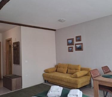 Borovets Apartment | Large studio with view in Borovets Gardens