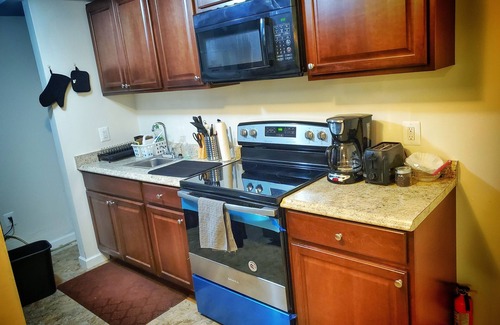 Springfield Apartment | Large Stylish Suite on Private Wooded Lot near DC