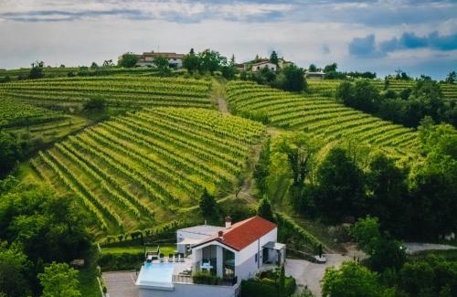 Hrusevlje Apartment | Larya House