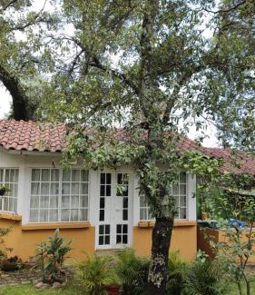 Tepoztlan Ski Chalet | Las casitas en Tepoztlán