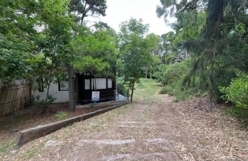 Mar Azul House | Las Cortaderas