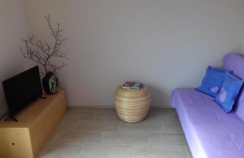 Laskowa Apartment | Las Góra Natura