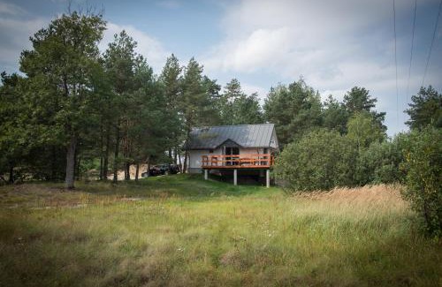 Hamernia Cabin | Las Hamernia's