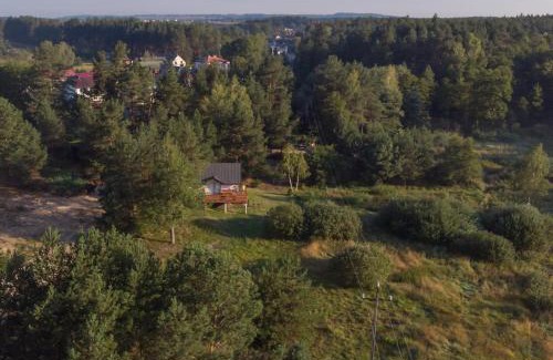 Hamernia Cabin | Las Hamernia's