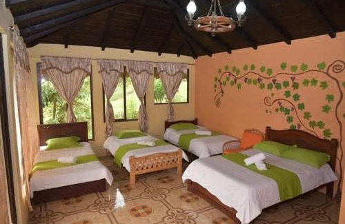 Banos de Agua Santa Bed & Breakfast | Las Orquídeas Runtun