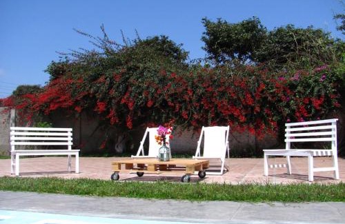Puerto Supe Hotel | LAS PALMERAS HOSTAL
