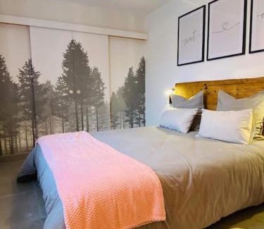 Chatenois Apartment | L‘atelier