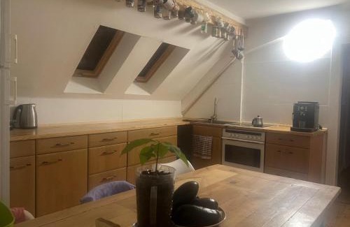 Lauchhammer Apartment | Lauchhammer West Dachgeschoss 100 qm