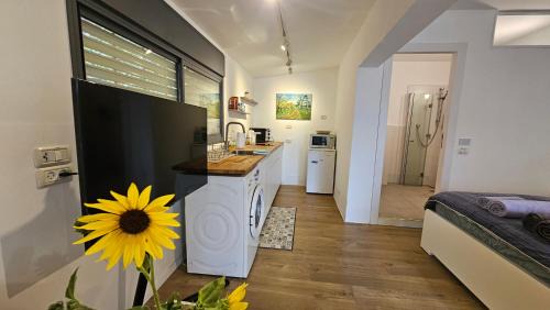 Yokneam Apartment | Lavan Country-Style Studio