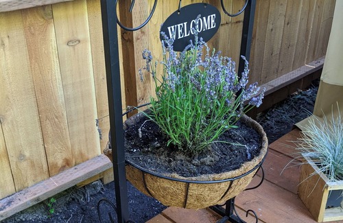 Sequim RV Rental | Lavender Glamping Tent with heater , mini fridge and fire pit.n