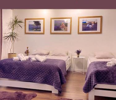 Dwikozy Apartment | Lawendowa Przystań Sandomierska