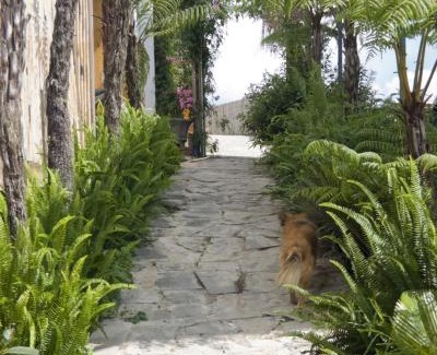 Da Lat House | LayLa Homestay