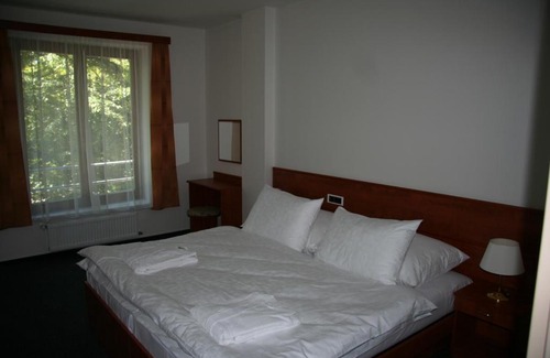Podebrady Hotel | Lazensky Hotel Park