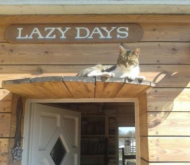 Debrecen House | Lazy Days