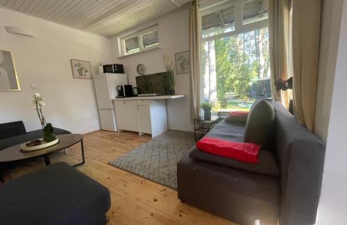 Lupawsko House | Leśne domki