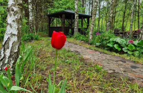 Warlubie Apartment | Leśny Zakątek Lipinki Bory Tucholskie - sauna