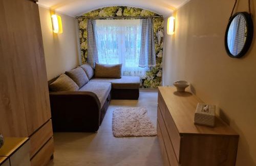 Warlubie Apartment | Leśny Zakątek Lipinki Bory Tucholskie - sauna