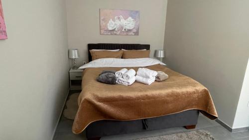 Lezimir Apartment | Ležimirski Snovi