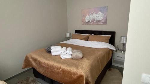 Lezimir Apartment | Ležimirski Snovi