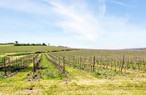 Segonzac Bed & Breakfast | Le Cœur du Breuil