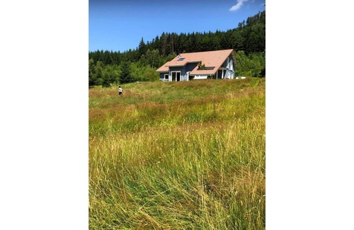 Allarmont Ski Chalet | Le Chalet Bleu. On the edge of the forest. Sleeps 7.