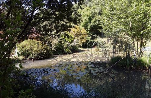 Tursac Ski Chalet | Le chalet de la grenouille verte