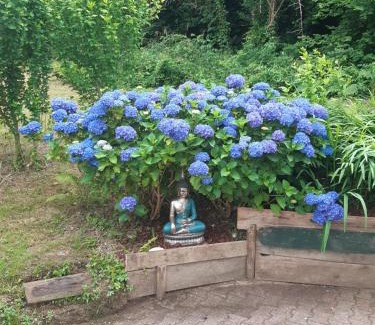 Cambo-les-Bains Bed & Breakfast | Le chant des oiseaux