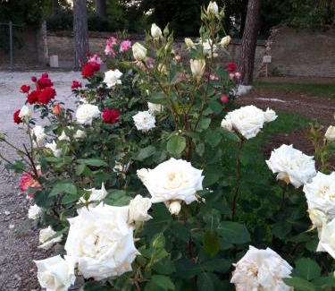 Chorey-les-Beaune House | Le Clos des Roses