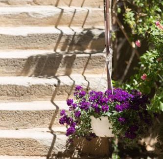 Chaussan Bed & Breakfast | Le Clos Du Perret