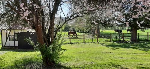 Cavron-Saint-Martin House | Le Clos Saint Martin