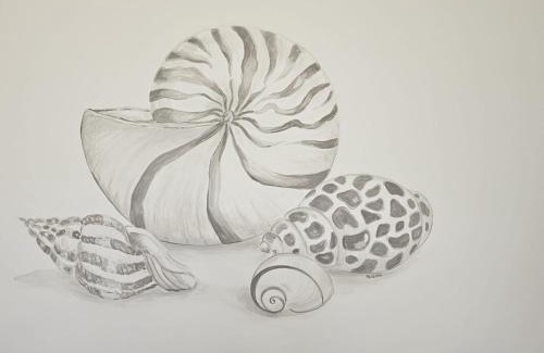 Luni Mare Apartment | Le Conchiglie