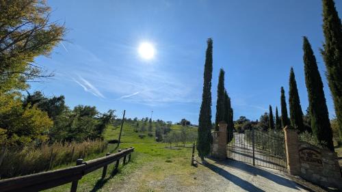 Asciano Apartment | Le Crete Senesi