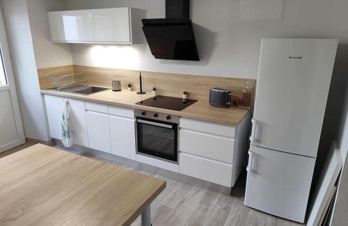 Scey-sur-Saone-et-Saint-Albin Apartment | Le sceycolais Appartement spacieux avec terrasse